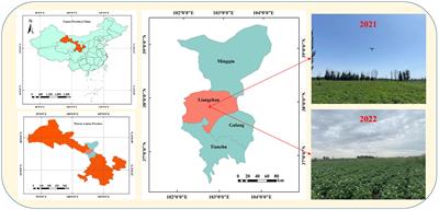 Estimation of potato canopy leaf water content in various growth stages using UAV hyperspectral remote sensing and machine learning